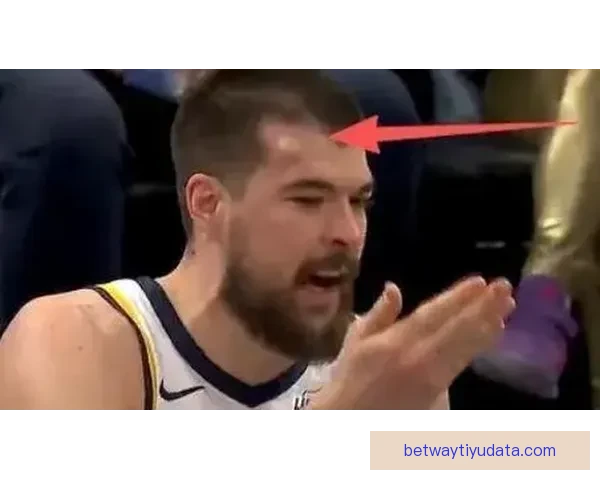 祖巴茨回应被打肿头不犯规称裁判判定克林根空接下次也要抡肘子